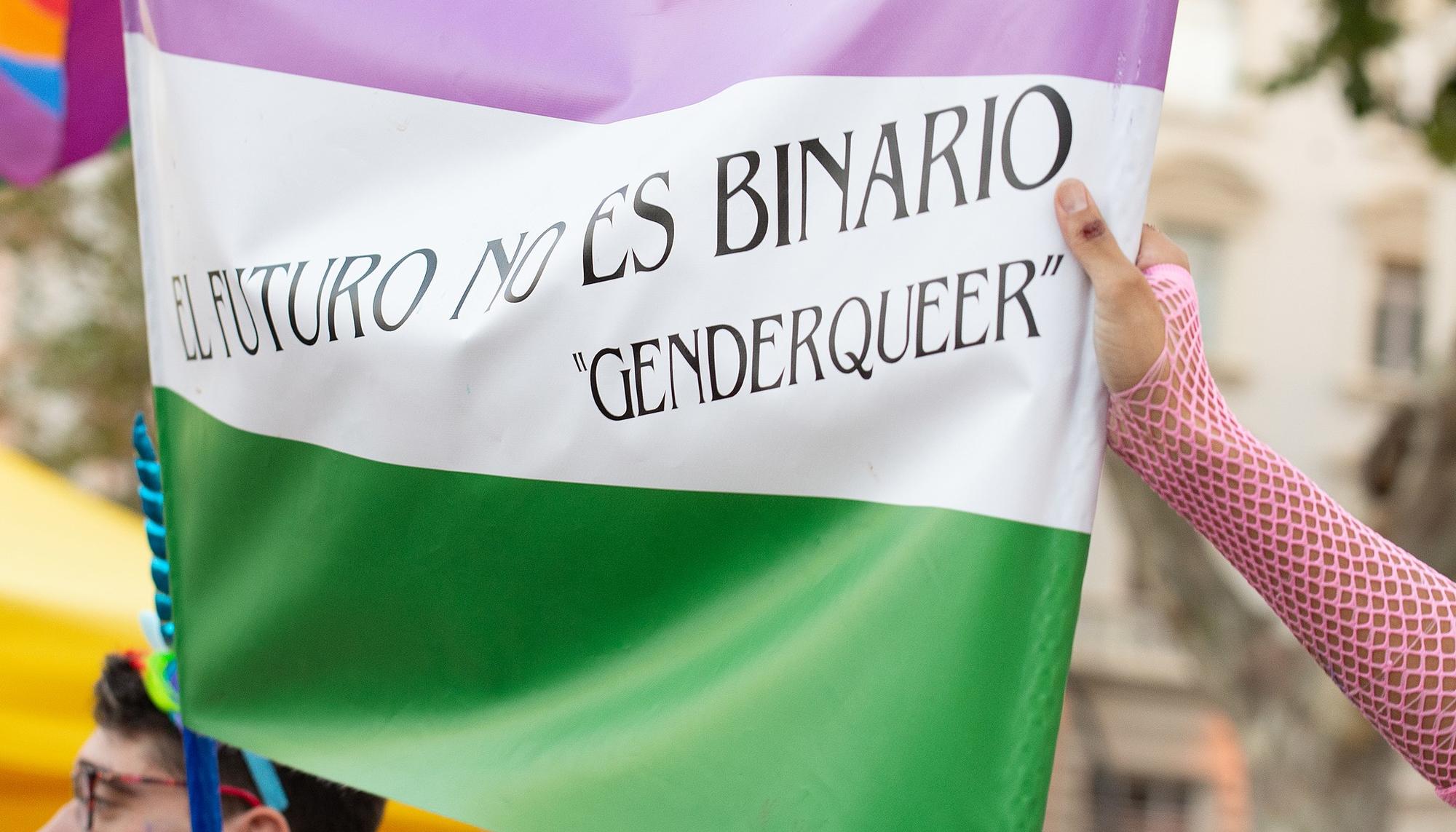 Futuro no binario bandera